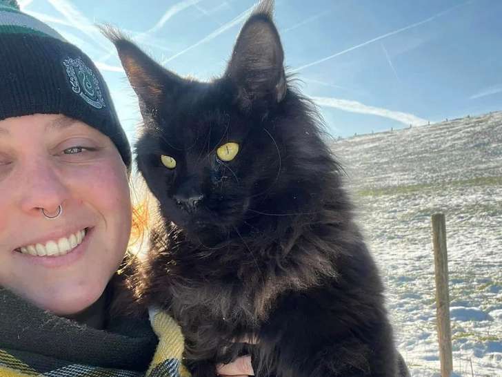 La Zoothérapie de Faïd'Rone