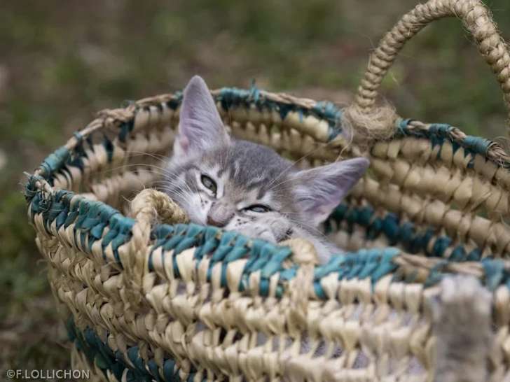 Un Instant De Lumière