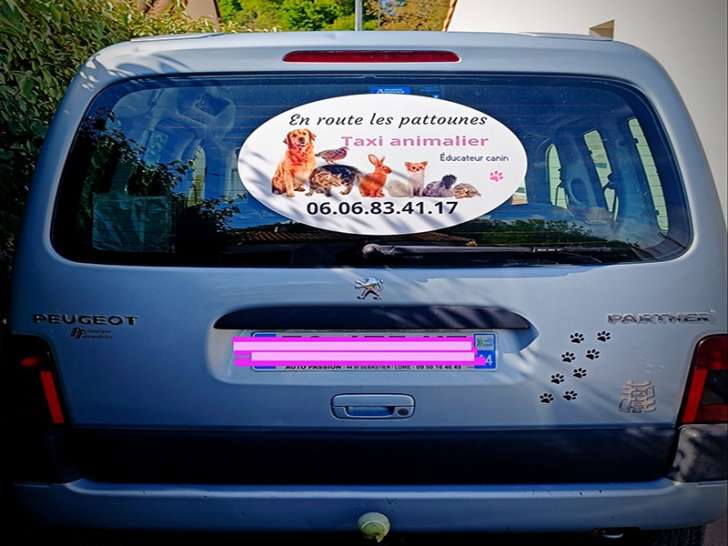 En route les Pattounes