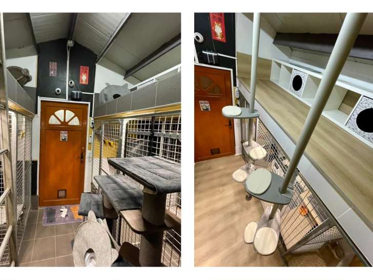 Cat’s Hôtel Lodge