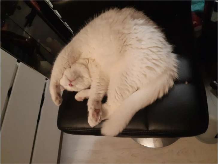 Les Clefs des Merveilles du Coeur