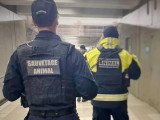 Sauvetage Animal Rescue