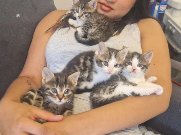 Les Patounes de Bezons