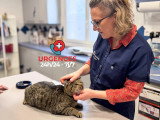 ClinicVet Auffay