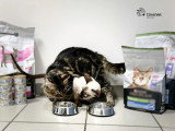 ClinicVet Auffay