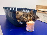 ClinicVet Beaumont-le-Roger