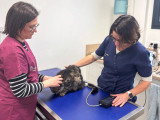 ClinicVet Beaumont-le-Roger