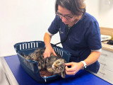 ClinicVet Beaumont-le-Roger