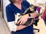 ClinicVet Beaumont-le-Roger