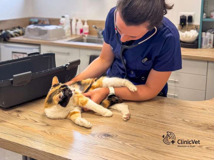 ClinicVet Beaumont-le-Roger