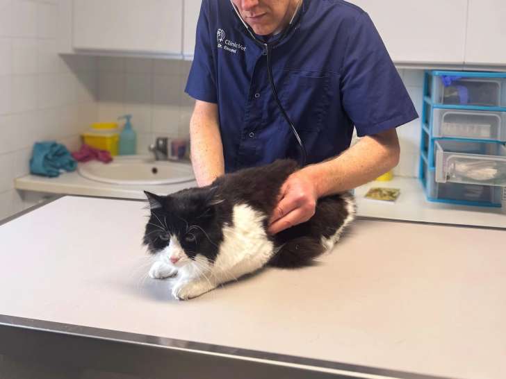 ClinicVet Dieppe