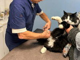 ClinicVet Étrépagny