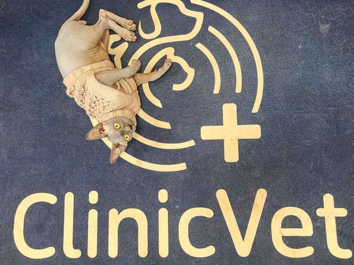 ClinicVet Gournay-en-Bray