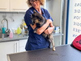 ClinicVet Martainville