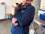 ClinicVet Isneauville