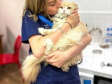 ClinicVet Mont-Saint-Aignan