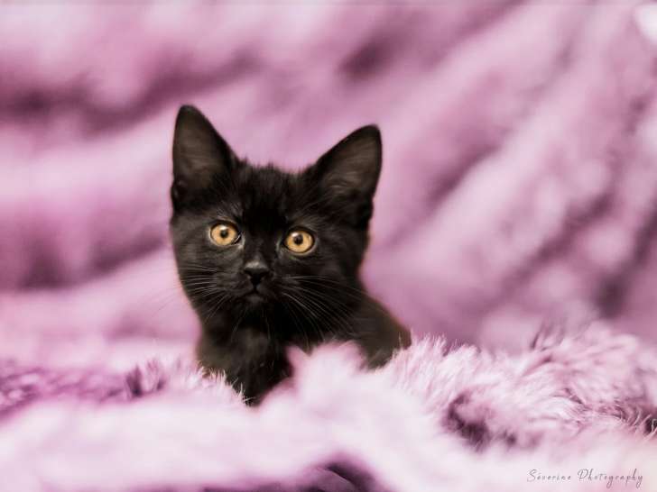 Severine Photography