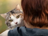 Severine Photography