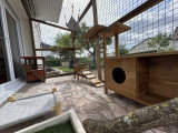 Catio vue de l'intérieur