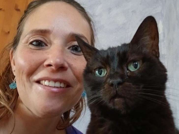 Chat Trek