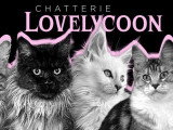 Lovelycoon