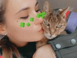 Aristo Pets