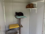 Centre canin de Madelan