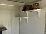 Centre canin de Madelan