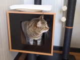 Centre canin de Madelan