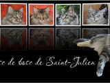 Chatterie du Bosc de Saint-Julien