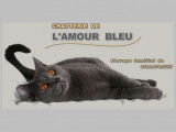 Chatterie de l'amour bleu