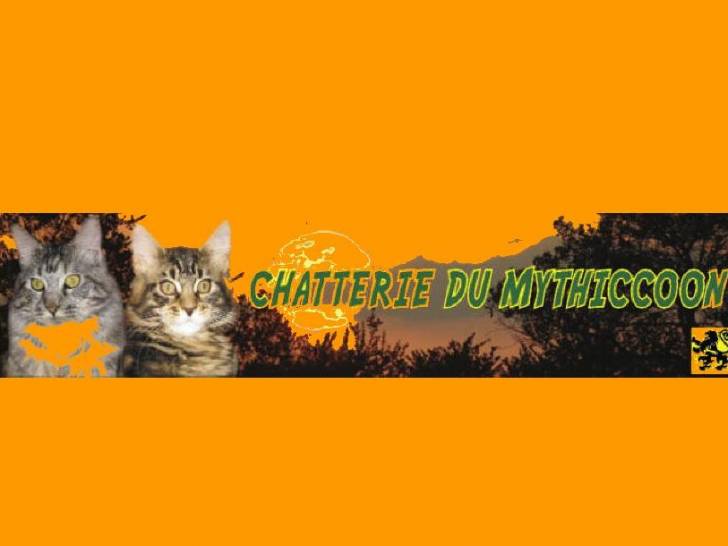 Chatterie du mythiccoon