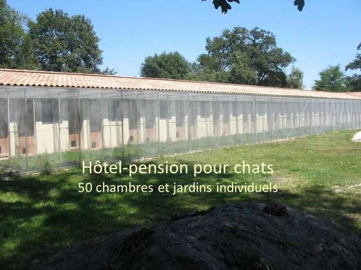 Chatterie des Graves