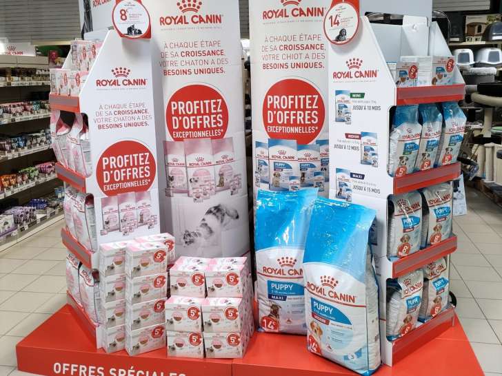 Procanis