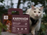 Karnivor
