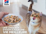 À Tout Chat et Chien