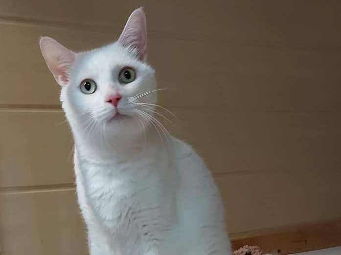 Le Jardin de Behemiel