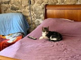 Atoll Câlin - Comme à la Maison