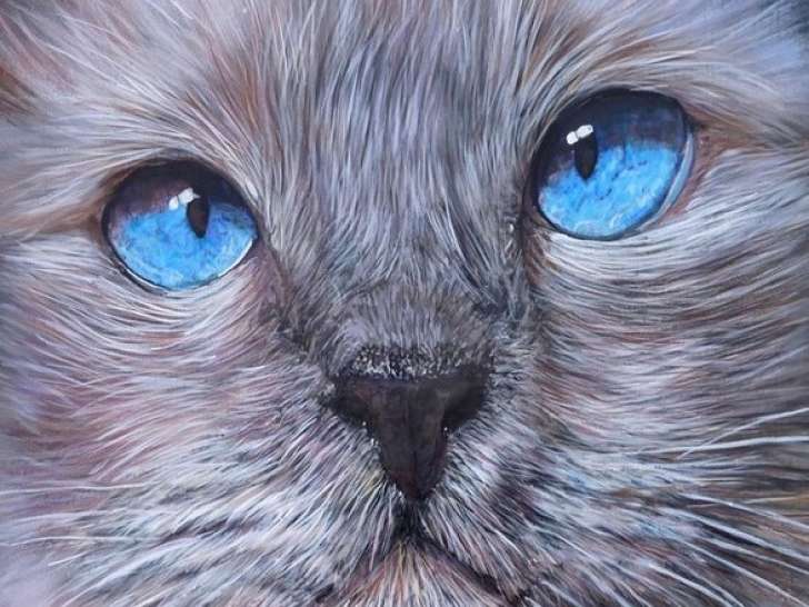 Portrait acrylique et sculpture en relief - Chat gris aux yeux bleus (en vente sur mon site)