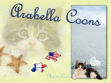 Arabella Coons