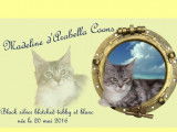 Arabella Coons