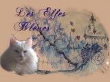 Chatterie les Elfes Bleus