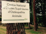 CNESOA - Centre National des Etudes Supérieures d'Ostéopathie Animale
