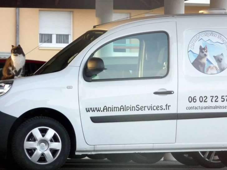 Anim'Alpin Services