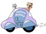 Soluce Animo