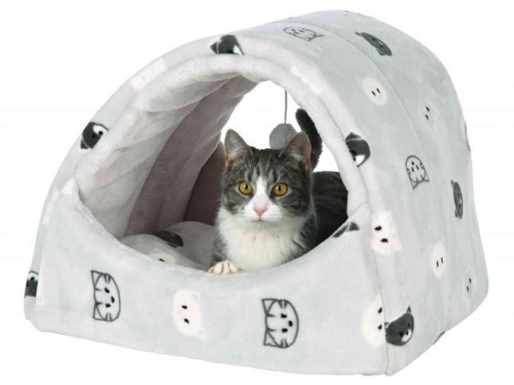 Au Bonheur des Animaux