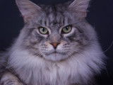Chatterie di Civieri