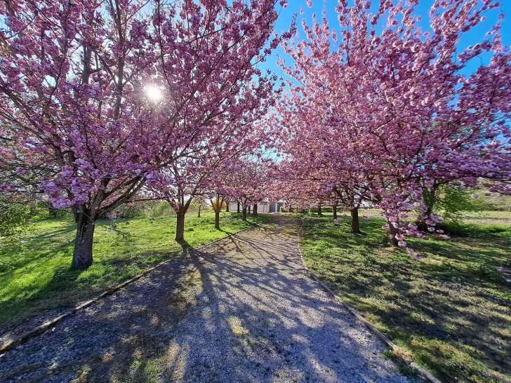 Gite canin de Mericourt