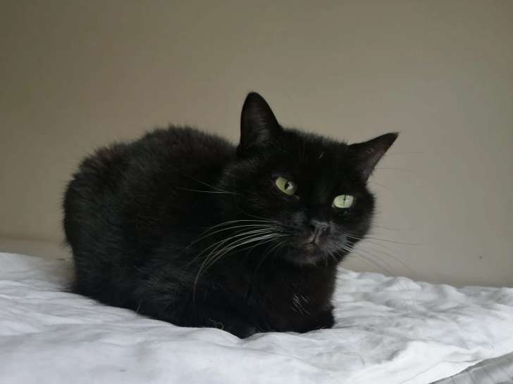 Les Petites Vacances