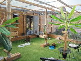 L'Arche de Lily